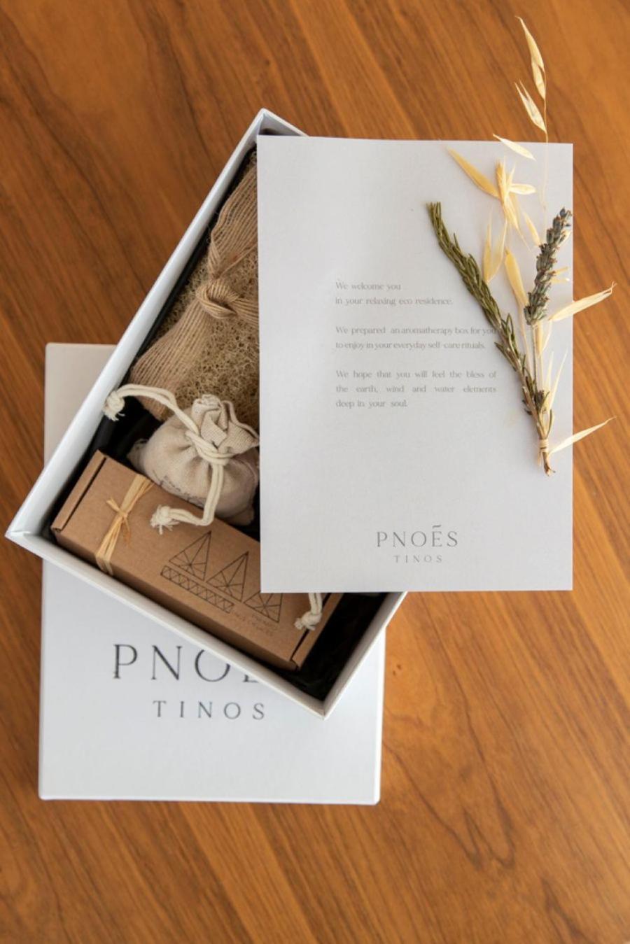 Pnoes Tinos别墅 外观 照片